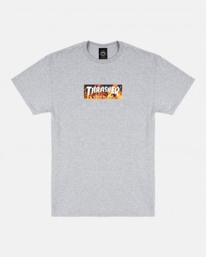 T-Shirts Thrasher Magazine Blaze T-Shirt Grises | JVH-179853